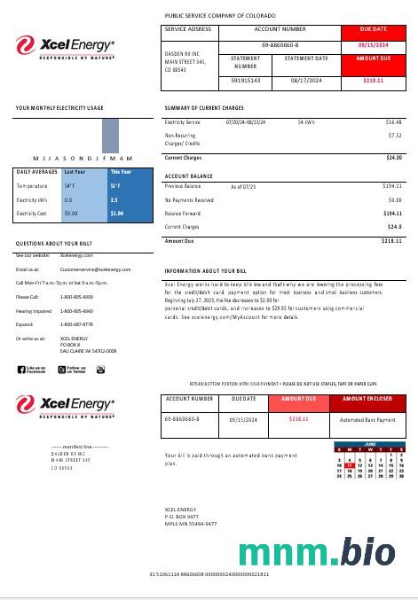 USA Colorado xcelenergy electricity rachunek za usługi komunalne szablon w formacie Word i PDF, Wersja 3